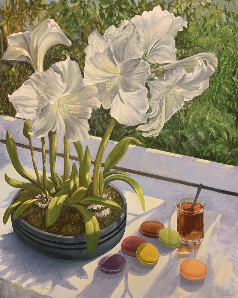 Amaryllis and macaroons
